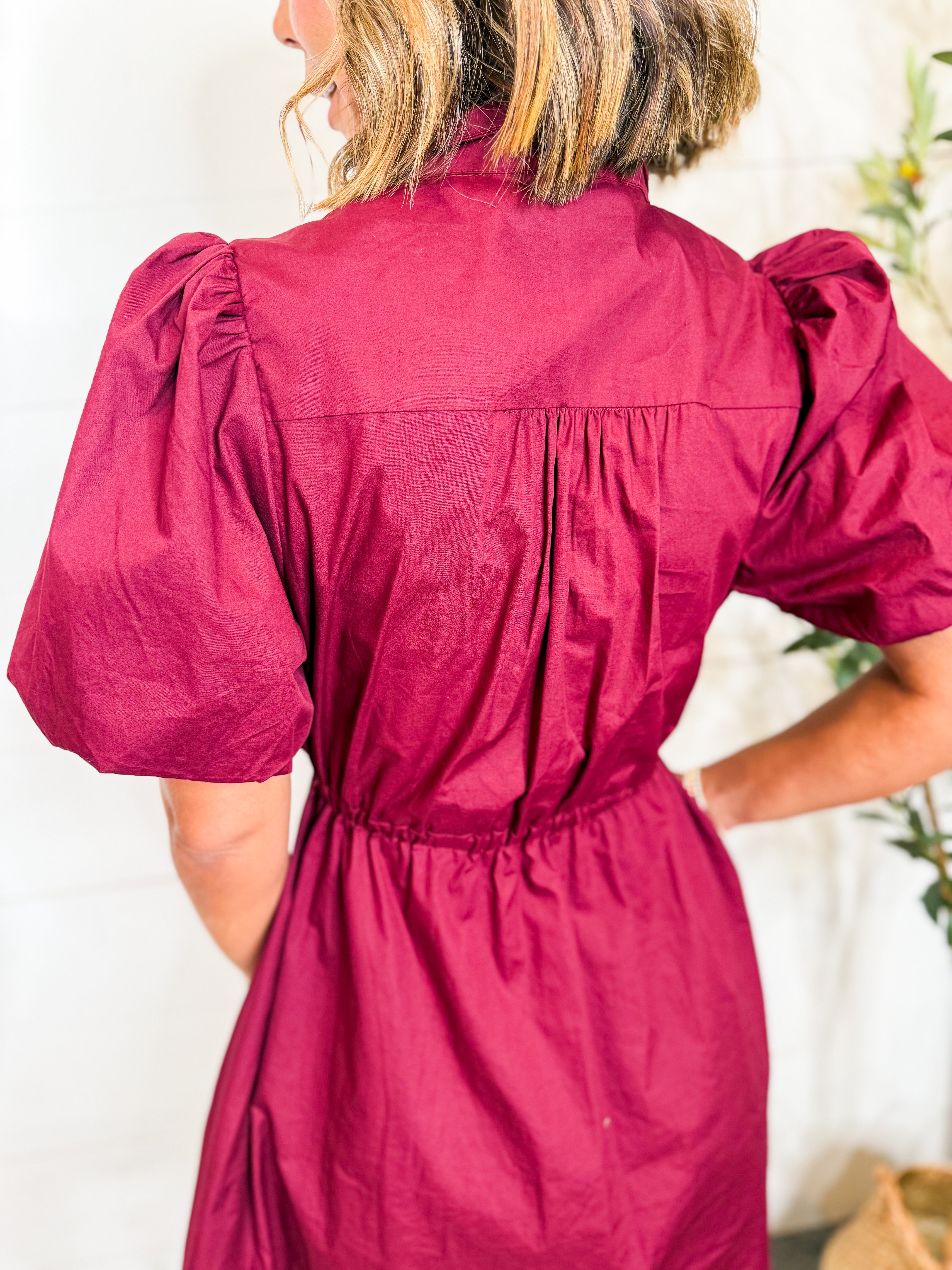 Maroon Drawstring Waist Mini Dress