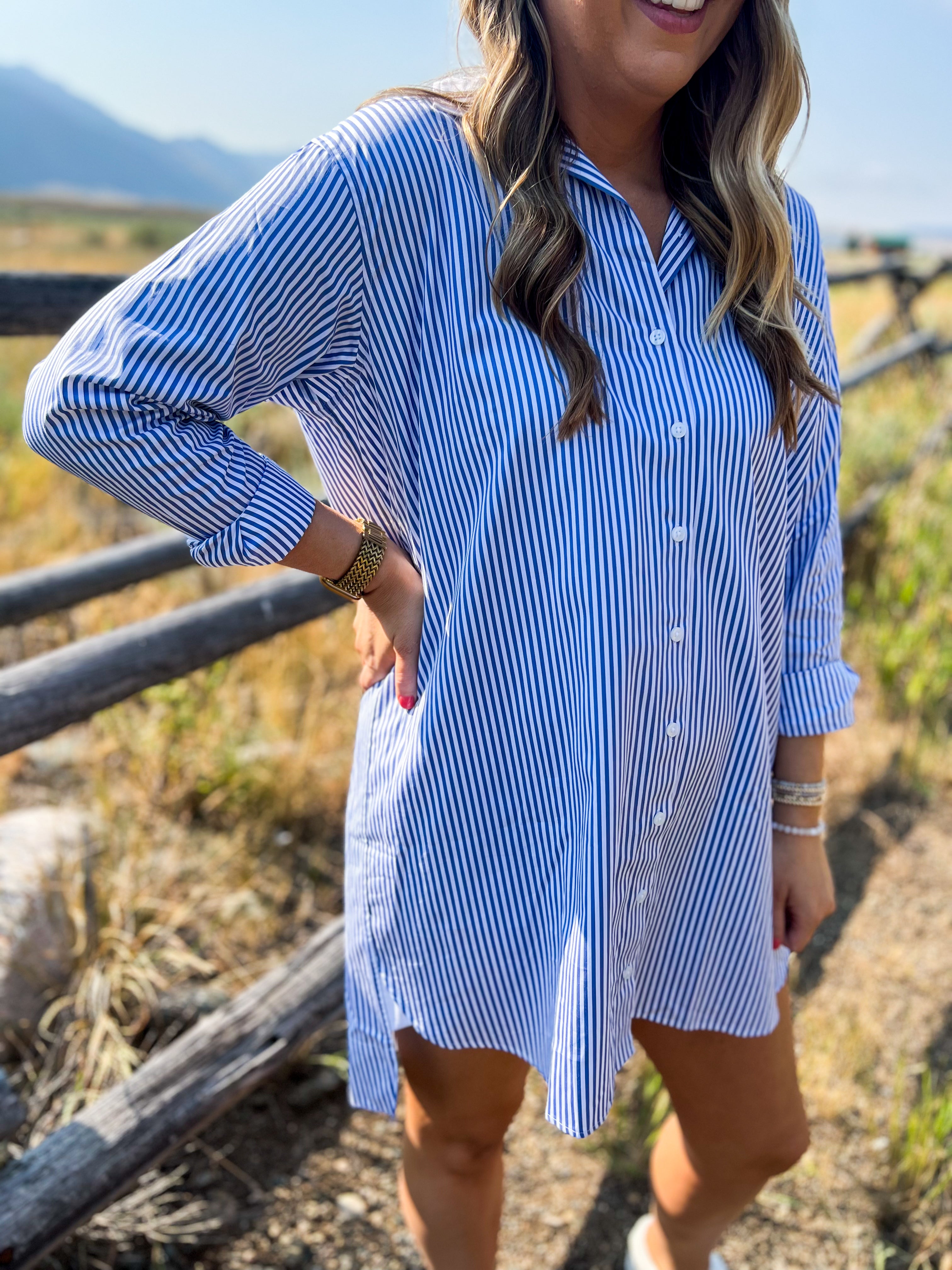 Spanx Poplin Shirt Dress