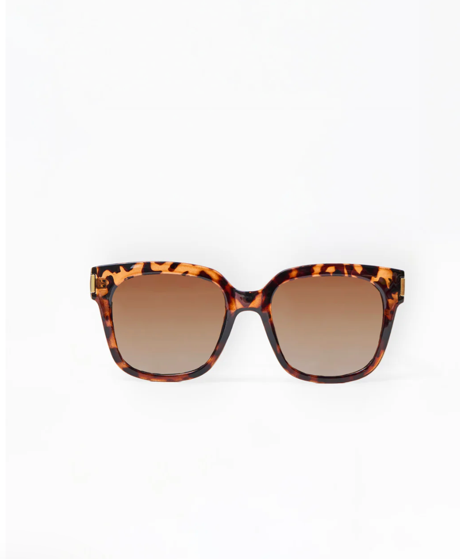 Mary Square Krista Brown Tortoise Polarized Sunglasses