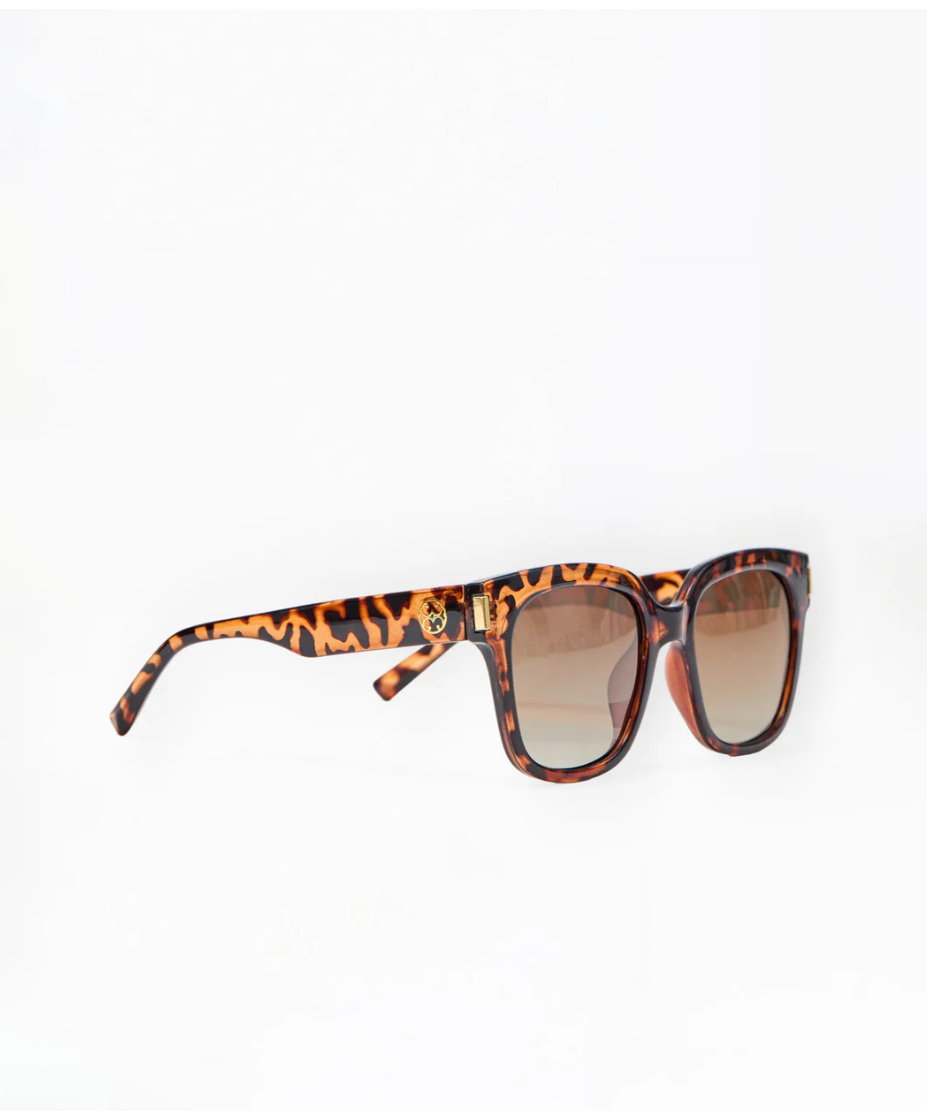 Mary Square Krista Brown Tortoise Polarized Sunglasses