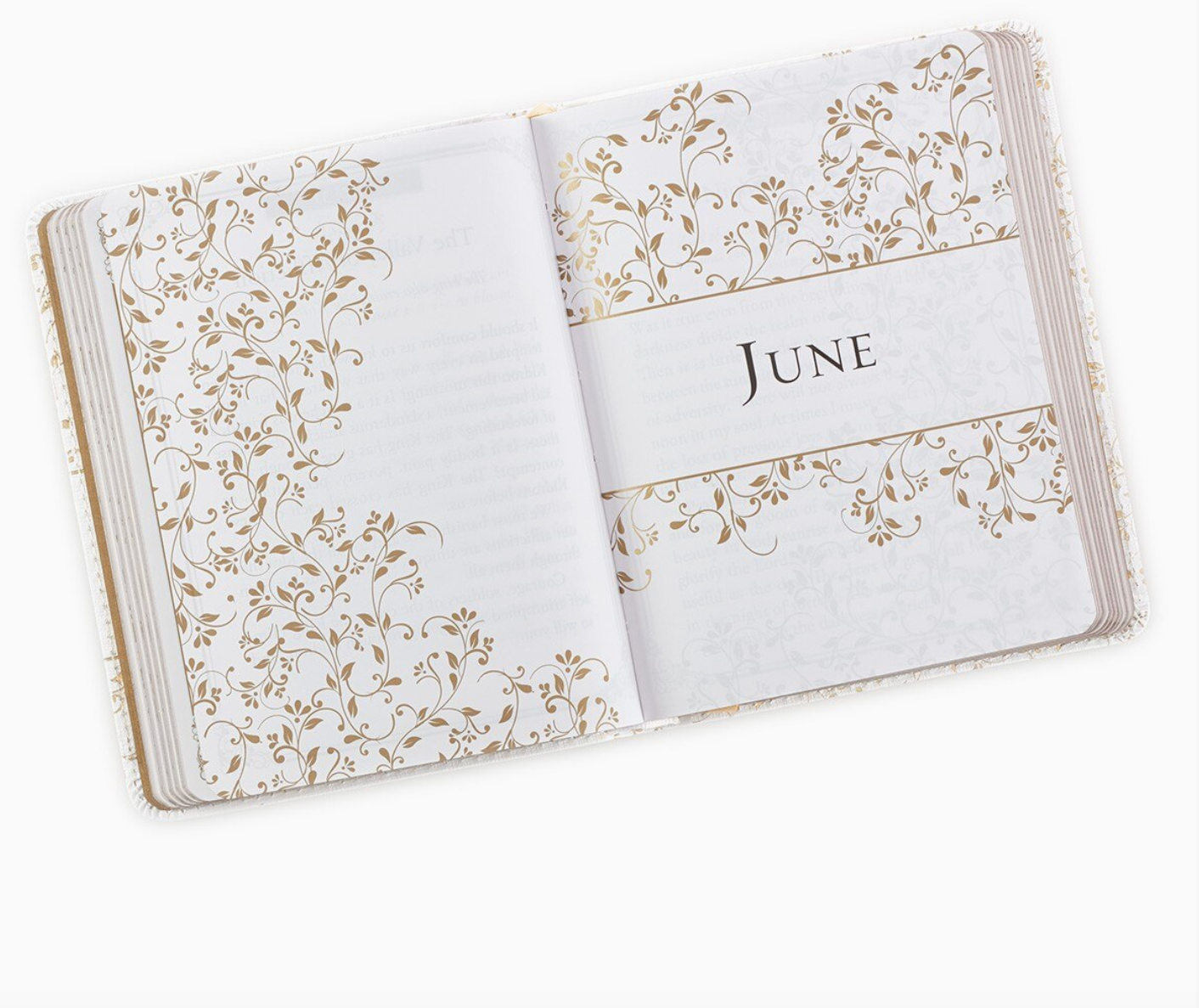 One-Minute Devotions Morning By Morning