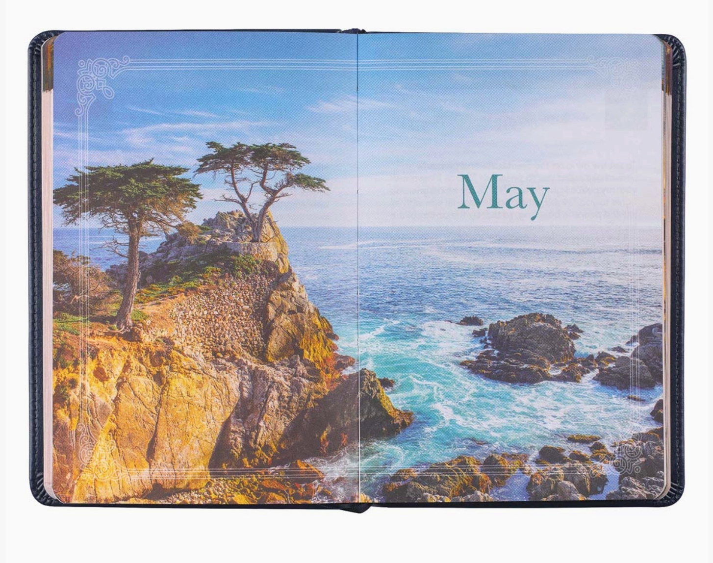 Devotional Daily Light For Men